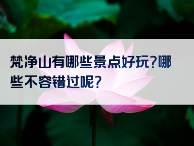 梵净山有哪些景点好玩？哪些不容错过呢？