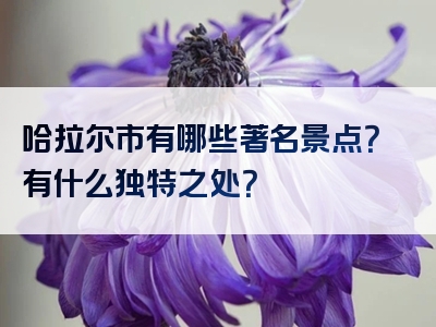 哈拉尔市有哪些著名景点？有什么独特之处？