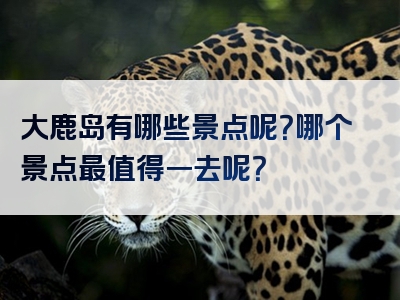 大鹿岛有哪些景点呢？哪个景点最值得一去呢？