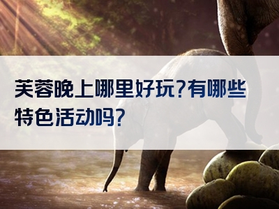芙蓉晚上哪里好玩？有哪些特色活动吗？