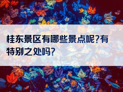 桂东景区有哪些景点呢？有特别之处吗？