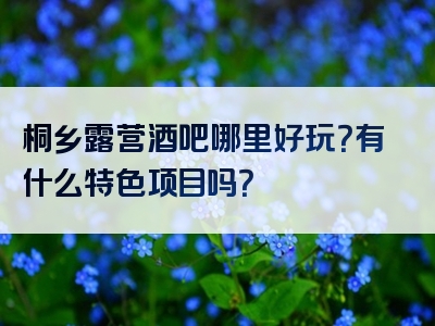 桐乡露营酒吧哪里好玩？有什么特色项目吗？