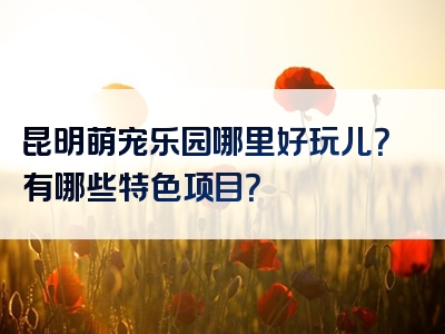 昆明萌宠乐园哪里好玩儿？有哪些特色项目？