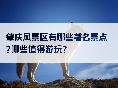 肇庆风景区有哪些著名景点？哪些值得游玩？