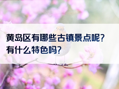 黄岛区有哪些古镇景点呢？有什么特色吗？