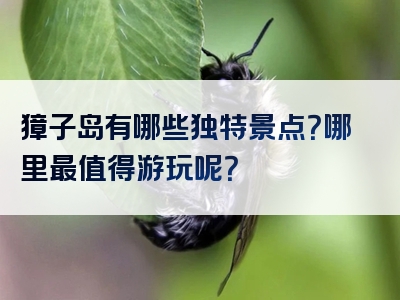 獐子岛有哪些独特景点？哪里最值得游玩呢？