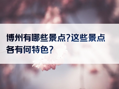 博州有哪些景点？这些景点各有何特色？