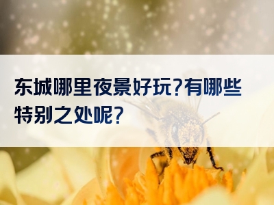 东城哪里夜景好玩？有哪些特别之处呢？