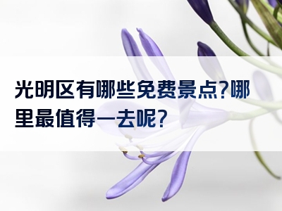 光明区有哪些免费景点？哪里最值得一去呢？
