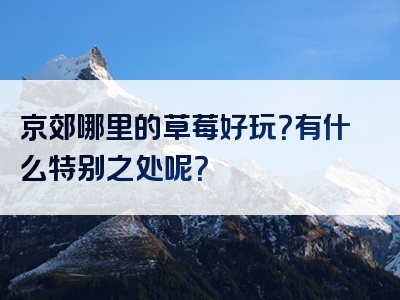 京郊哪里的草莓好玩？有什么特别之处呢？
