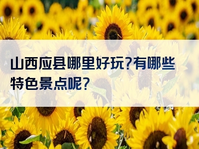 山西应县哪里好玩？有哪些特色景点呢？