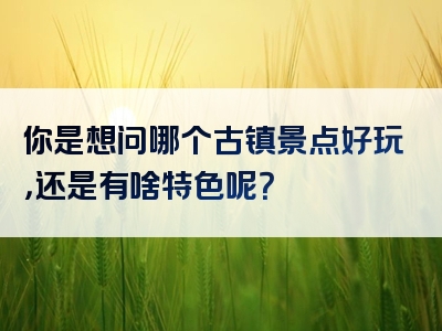 你是想问哪个古镇景点好玩，还是有啥特色呢？