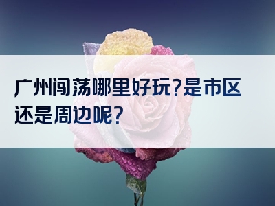 广州闯荡哪里好玩？是市区还是周边呢？