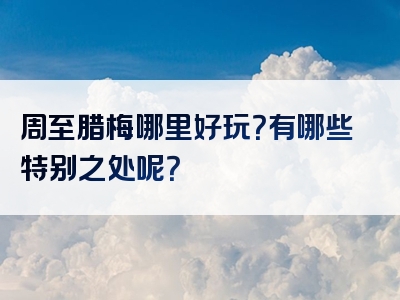 周至腊梅哪里好玩？有哪些特别之处呢？
