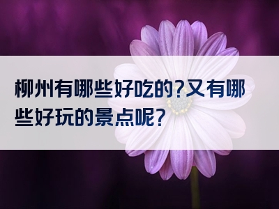 柳州有哪些好吃的？又有哪些好玩的景点呢？