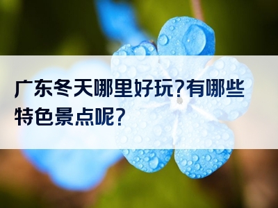 广东冬天哪里好玩？有哪些特色景点呢？