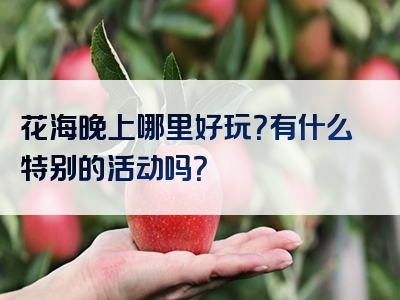 花海晚上哪里好玩？有什么特别的活动吗？