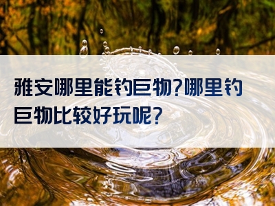 雅安哪里能钓巨物？哪里钓巨物比较好玩呢？