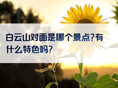 白云山对面是哪个景点？有什么特色吗？