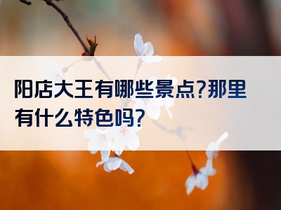 阳店大王有哪些景点？那里有什么特色吗？