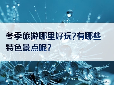 冬季旅游哪里好玩？有哪些特色景点呢？