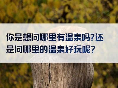 你是想问哪里有温泉吗？还是问哪里的温泉好玩呢？