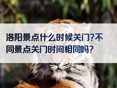 洛阳景点什么时候关门？不同景点关门时间相同吗？