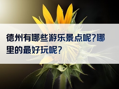 德州有哪些游乐景点呢？哪里的最好玩呢？