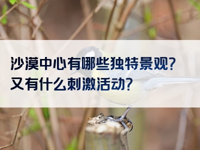 沙漠中心有哪些独特景观？又有什么刺激活动？