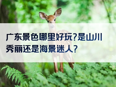 广东景色哪里好玩？是山川秀丽还是海景迷人？