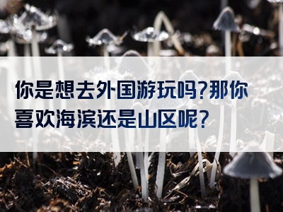 你是想去外国游玩吗？那你喜欢海滨还是山区呢？