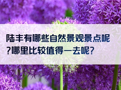 陆丰有哪些自然景观景点呢？哪里比较值得一去呢？