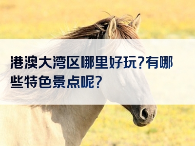 港澳大湾区哪里好玩？有哪些特色景点呢？
