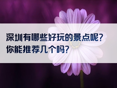 深圳有哪些好玩的景点呢？你能推荐几个吗？