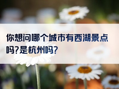 你想问哪个城市有西湖景点吗？是杭州吗？