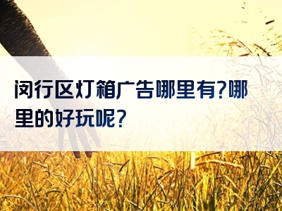 闵行区灯箱广告哪里有？哪里的好玩呢？