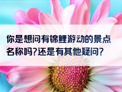 你是想问有锦鲤游动的景点名称吗？还是有其他疑问？