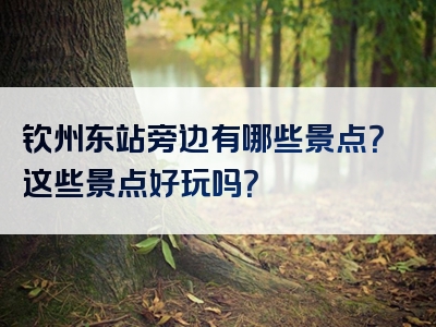 钦州东站旁边有哪些景点？这些景点好玩吗？