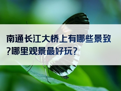 南通长江大桥上有哪些景致？哪里观景最好玩？
