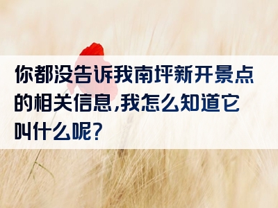 你都没告诉我南坪新开景点的相关信息，我怎么知道它叫什么呢？