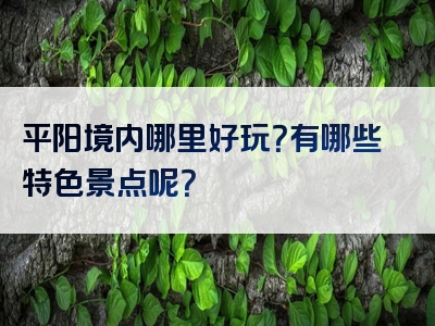平阳境内哪里好玩？有哪些特色景点呢？