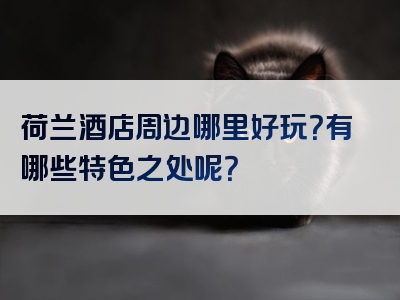 荷兰酒店周边哪里好玩？有哪些特色之处呢？