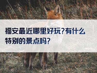 福安最近哪里好玩？有什么特别的景点吗？