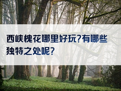 西峡槐花哪里好玩？有哪些独特之处呢？