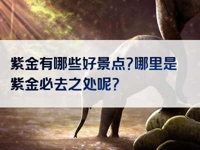 紫金有哪些好景点？哪里是紫金必去之处呢？