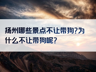 扬州哪些景点不让带狗？为什么不让带狗呢？