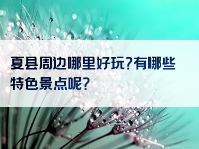 夏县周边哪里好玩？有哪些特色景点呢？
