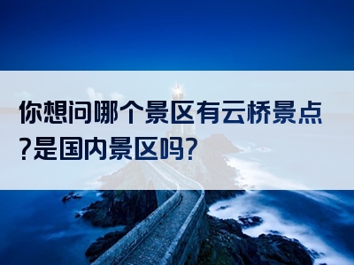 你想问哪个景区有云桥景点？是国内景区吗？