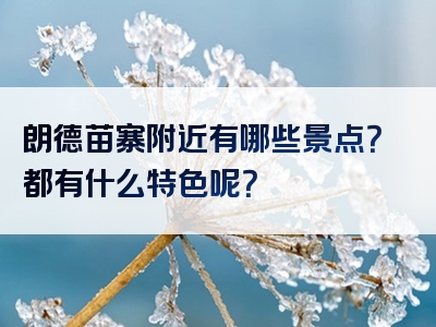 朗德苗寨附近有哪些景点？都有什么特色呢？