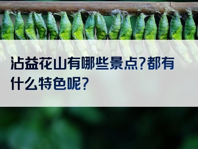 沾益花山有哪些景点？都有什么特色呢？